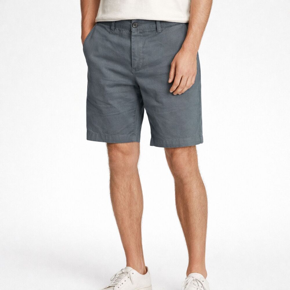 All Saints Short Mens W30 Gray Cobalt Chino Cotton Regular Fit Button Fly Casual